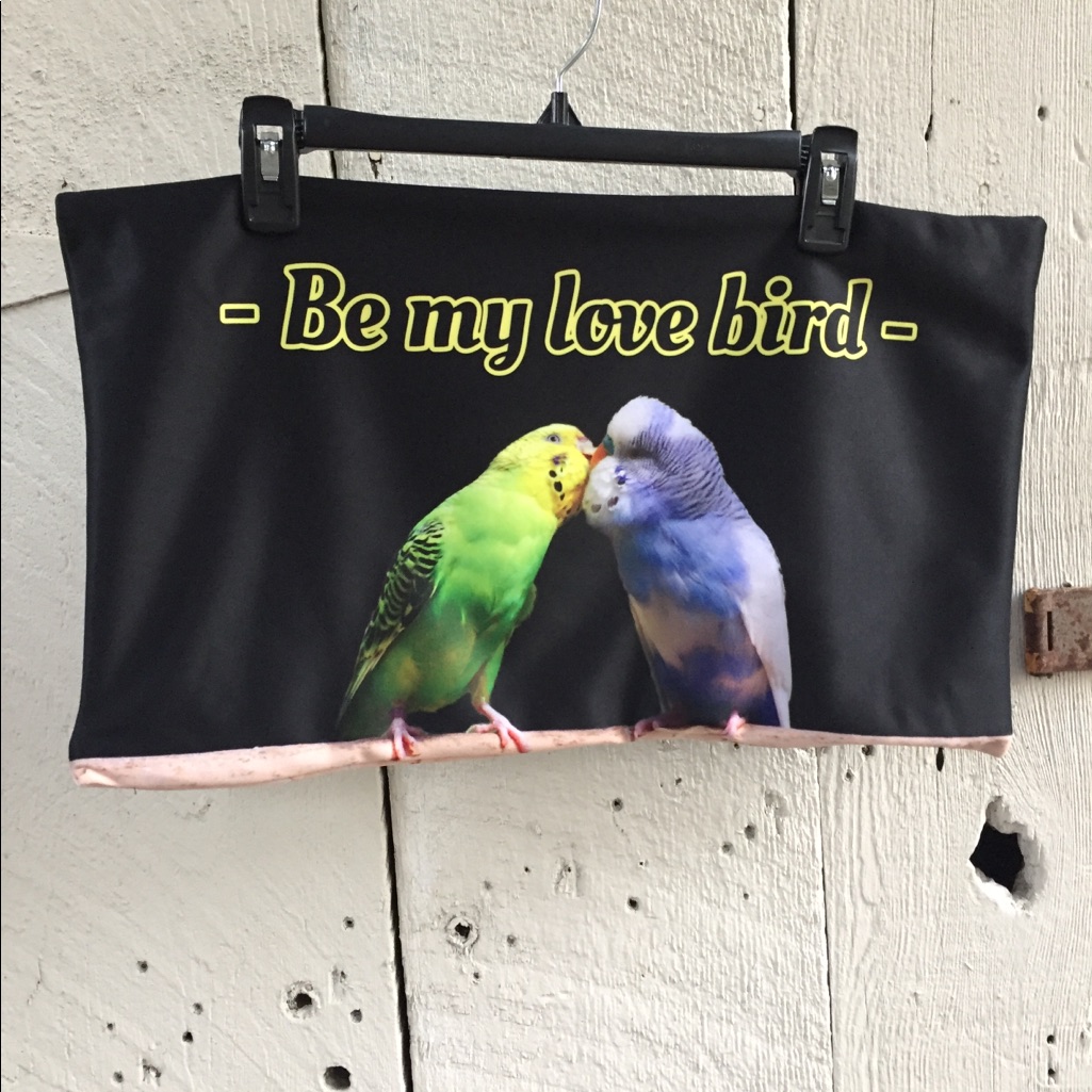 Be My Love Bird Pillow